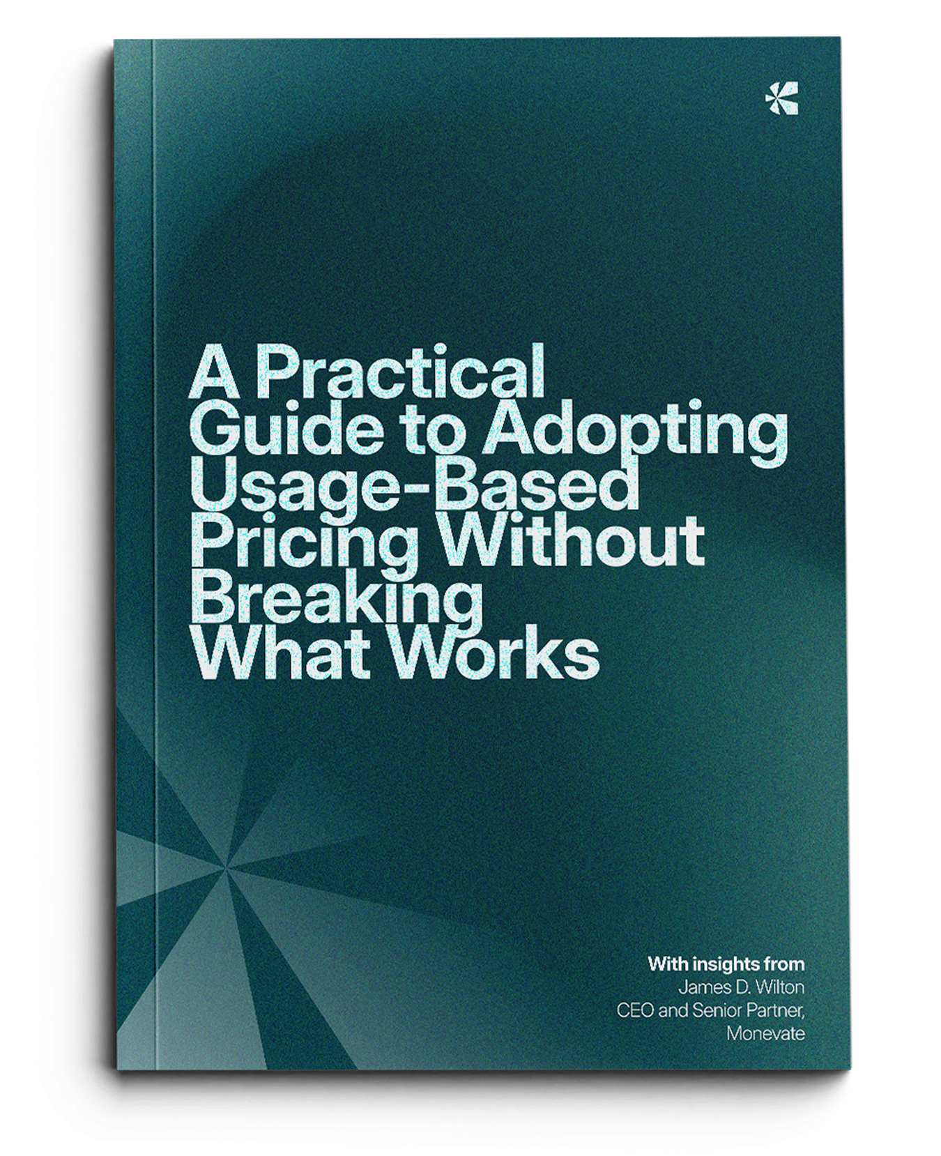 How to transition to usage-based pricing