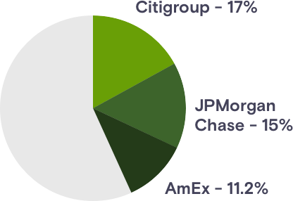 Who issues the credit cards in the US?