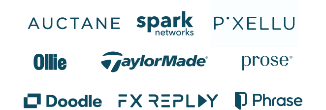 Trusted by leading companies
