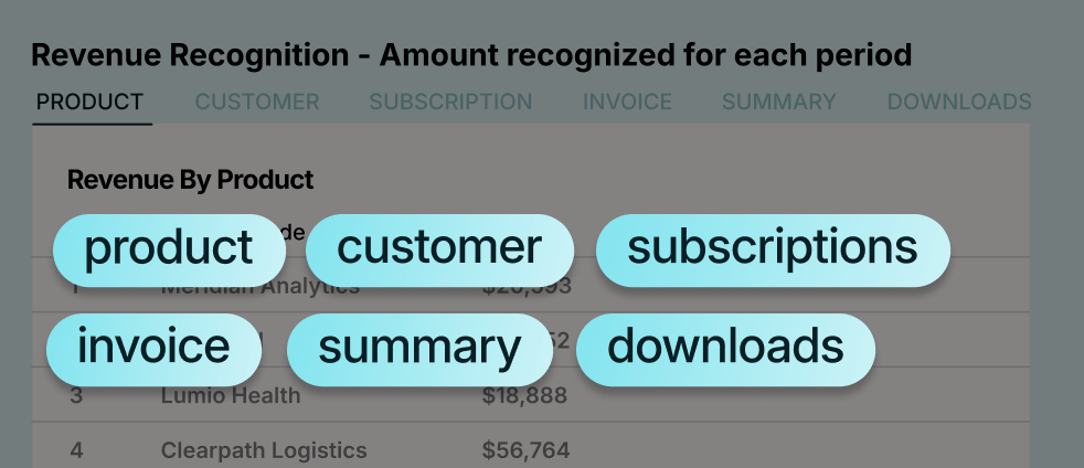 Own the Full Accounting Picture Without Overloading Your GL