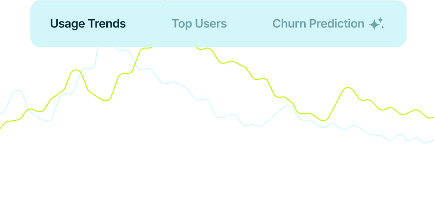 usage-revenue-analytics