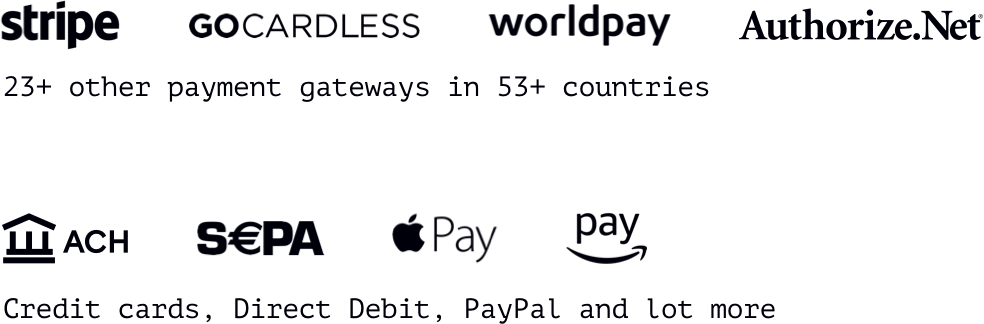 Diversify and maximize payment collection